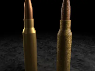 Rifle Bullets 3D model