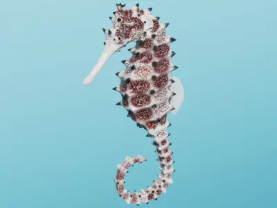 Spiny Seahorse Rigged Animated 3D model