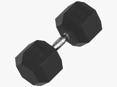Rubber Dumbbell 30kg 3D model