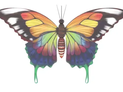 Butterfly 3D Model colorful 3D model
