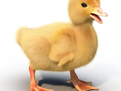  Duckling Rigged 
