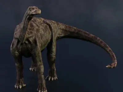 3D Shunosaurus dinosaur Low-poly 3D model