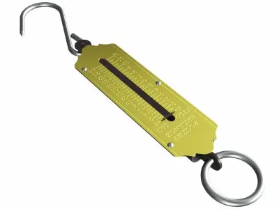 Pocket Balance 3D model