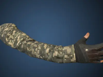 First Person View Hands Low-poly 3D model