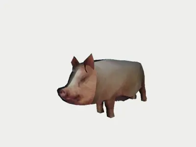 Pig from the farm 3D model