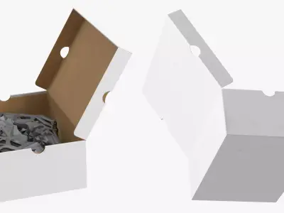 Athletic Footwear with Geometric Structure in Box 3D model