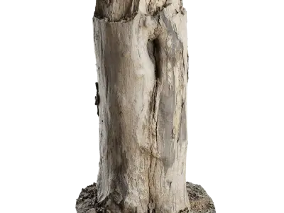  Medium Cut Bare Stump Model 