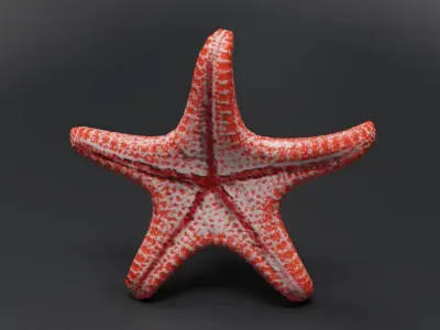 Starfish Low-poly 3D model