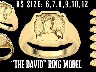 3d jewelry ring David ready to printing and casting 3D print model