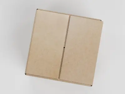  Cardboard Box 2 