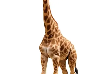 Realistic Giraffe 3D Model with PBR Textures 3D model