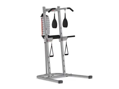 Bowflex BodyTower 3D model