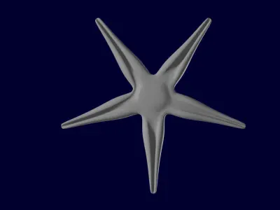 Starfish Sea star Asteroidea 3D model