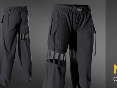 Trousers  pants  MaleFemale Clo Marvelous designer project  OBJ 3D model