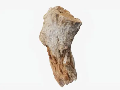Scanned Trimmed Tree Wood 12 3D model
