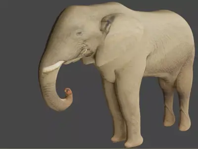 Elephant Rigged Low-poly 3D model