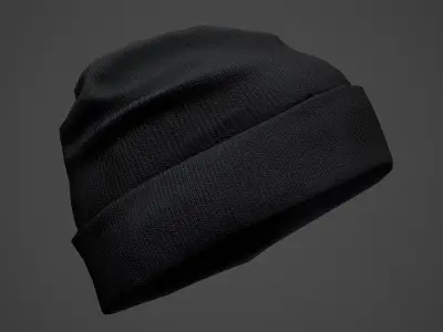 Winter Hat 3D model