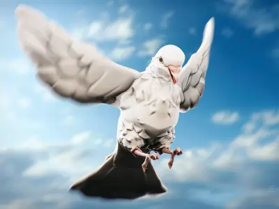 White Pigeon - Flying System - Bird Behavior Low-poly 3D model