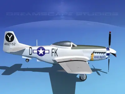 P-51D Mustang Indian Maiden 3D model