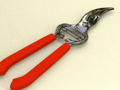 Pruning Sheers 3D model