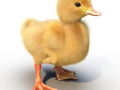  Duckling Rigged 