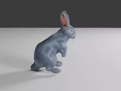 rabbit 3d Low-poly 3D model