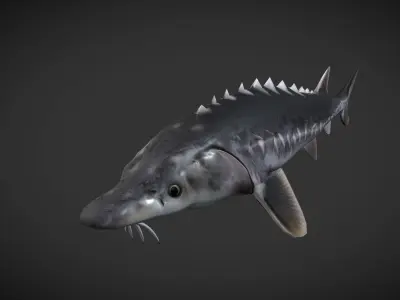 Shark fish with spikes Low-poly 3D model