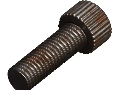 Rusty Steel Socket Bolt 3D model