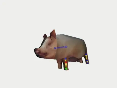 Pig from the farm 3D model