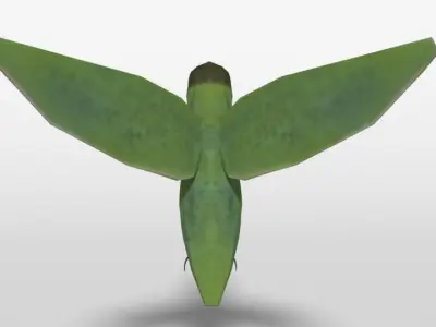 Low Poly Cartoon Hummingbird Low-poly 3D model