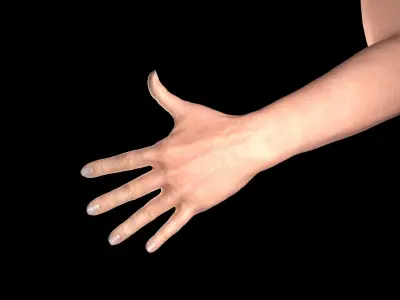 Female Hand Rigged 3D model