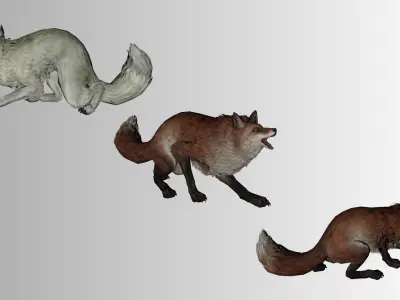 Stylized Fox 3D Model  Game Ready Multiple Colors  Low-poly 3D model