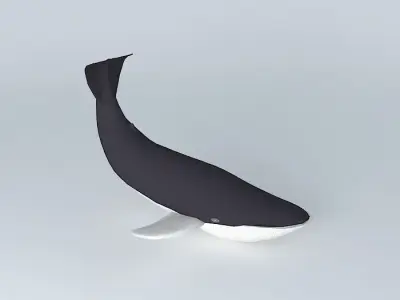 Blue whale Free 3D model