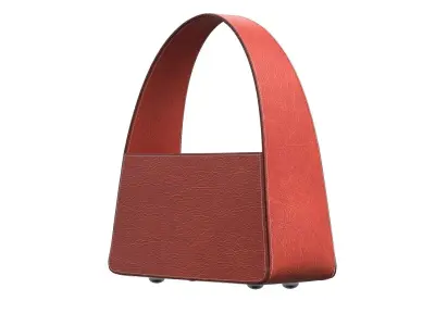 Orange Leather Mini Bag 3D model