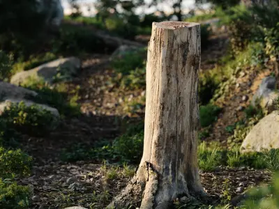  Tall Cut Bare Stump Model 