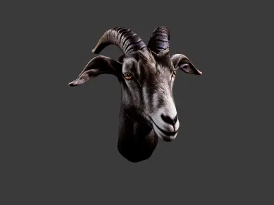 Deer Animal Head Low-poly 3D model 4