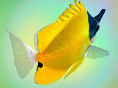 Fish Forcipiger Flavissimus Low-poly 3D model