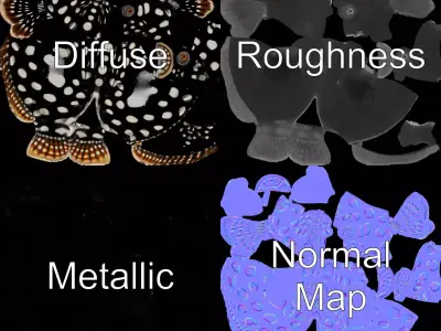 Spotted Fish Design model pack Low-poly 3D model