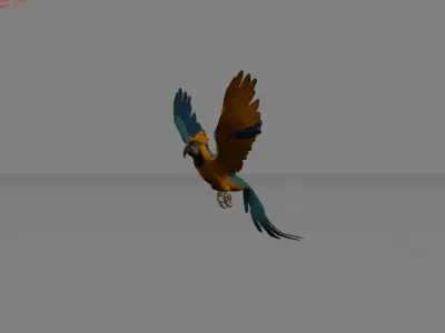 Parrot Blue Bird Animal Low-poly 3D model