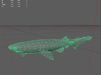 Shark Low-poly 3D model 13