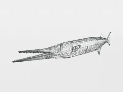 Needle Fish Low-poly 3D model