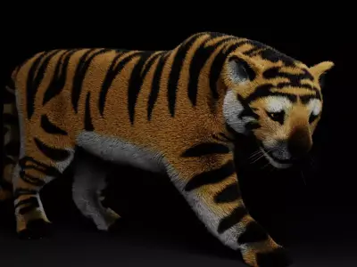 TIGER RIGGED ANIMATED Free low-poly 3D model