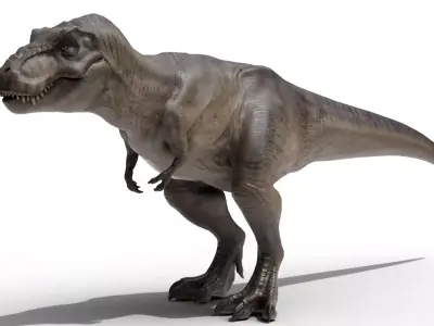 Tyrannosaurus Rex Low-poly 3D model 9