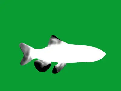Neon Tetra Fish Low-poly 3D model