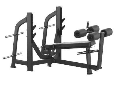  E-7041 Olympic Decline Bench 3D model