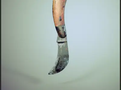 Old Curved Knife 3D model