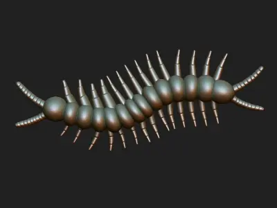 Centipede for 3d print 3D print model