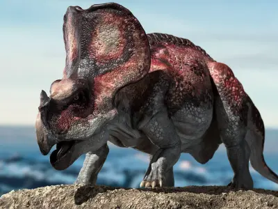 model Protoceratops 3D Rigged Low-poly 3D model