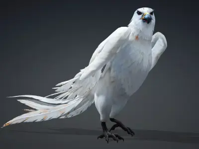 Hawk-A1 3D model