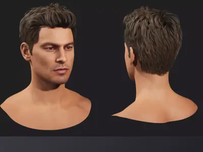 Realistic female hairstyles - pack 6 Low-poly 3D model